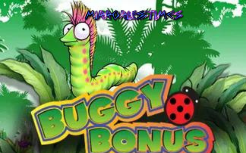 buggy bonus